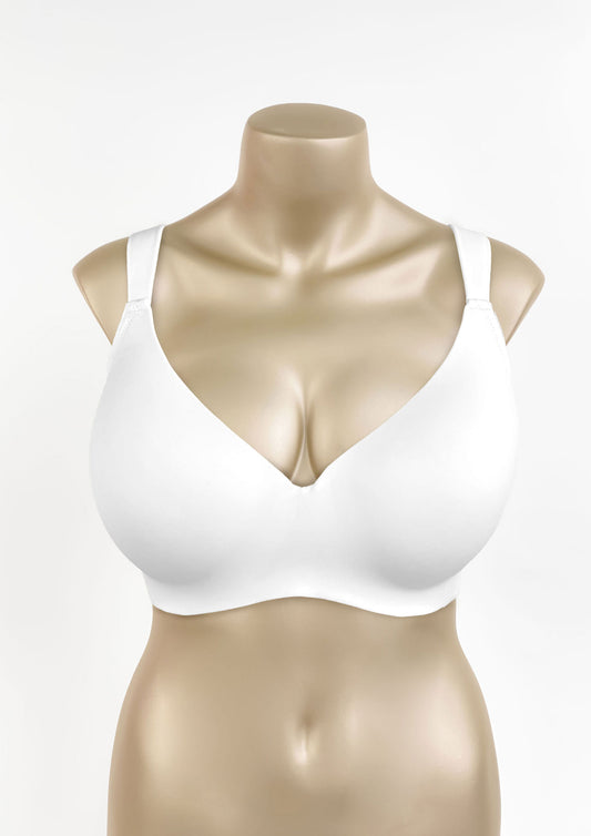 Buy 2 Bras 12 JOD Daily Bra Light Padded Cup D